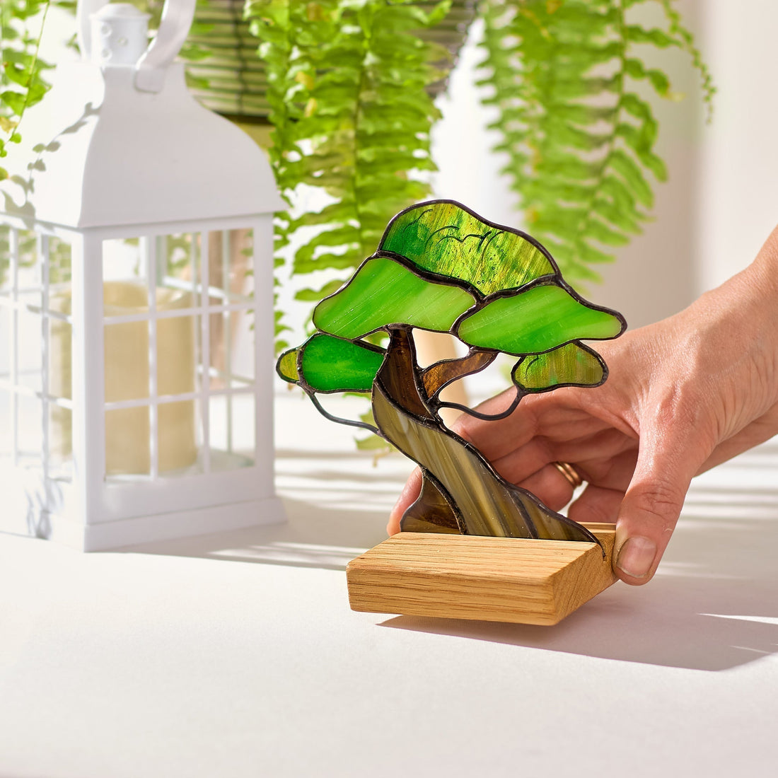 Bonsai tree table decor