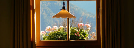 15 Best Window Decor Ideas for 2025