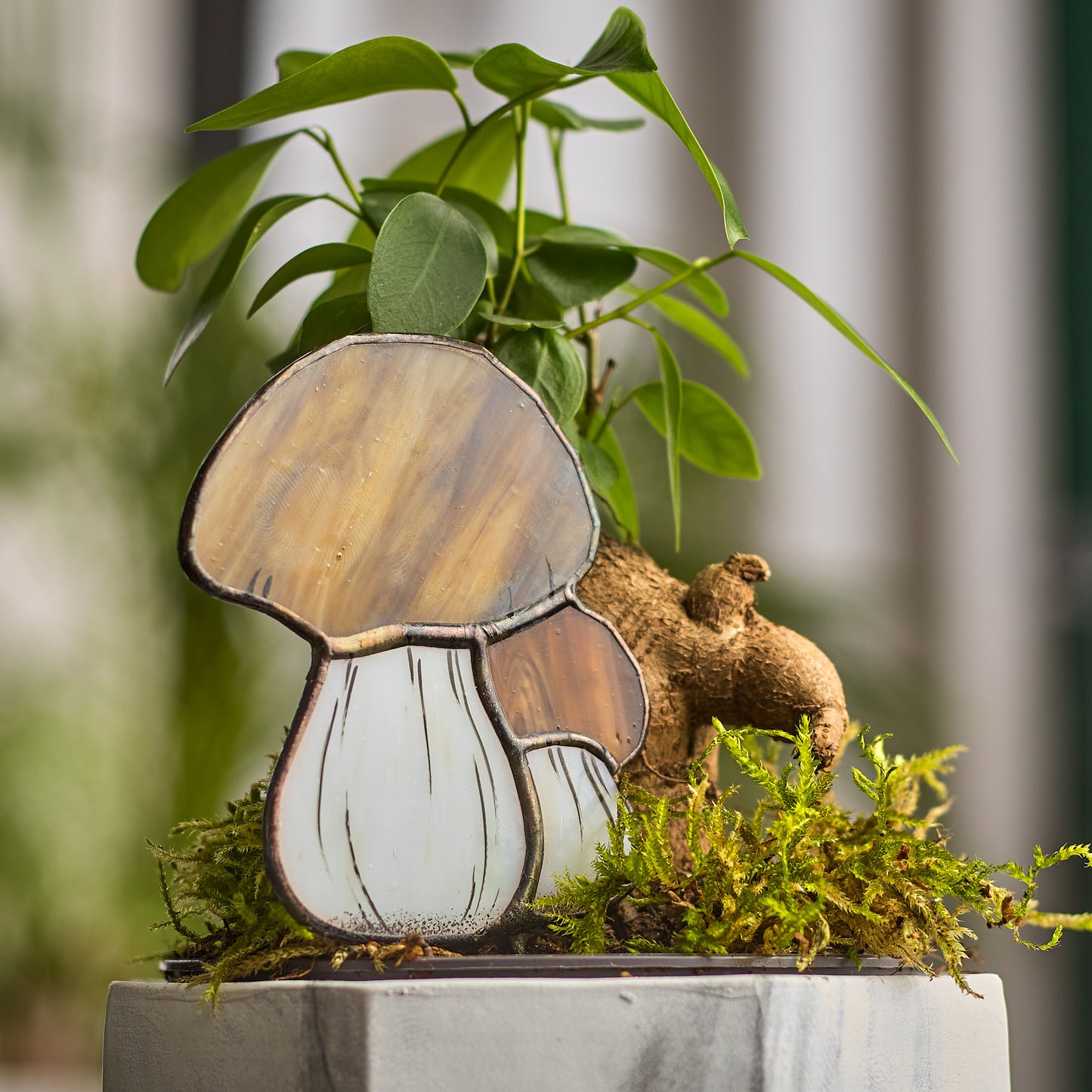 Boletus Mushroom Stained Glass Plant Pot Hugger